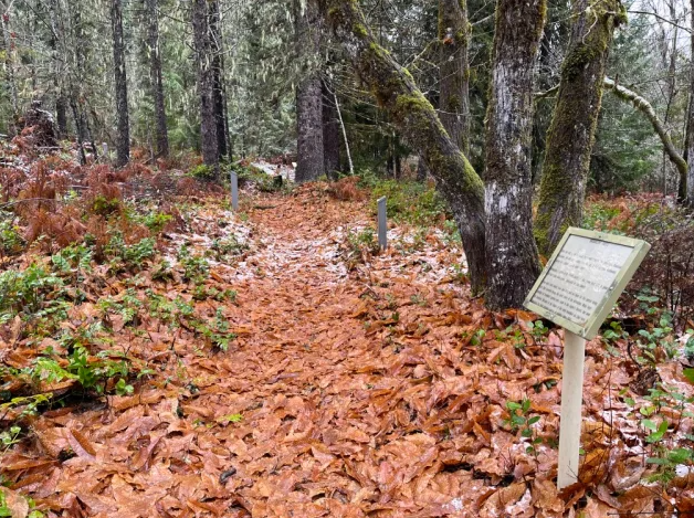 Wind River Arboretum, United States